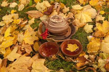 Chinese teapot with  cup of green tea among yellow maple leaves