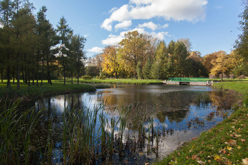 Fototapeta na wymiar autumn park landscape
