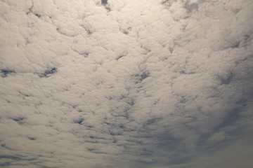 Deep blue sky and white cloud background.In the sky with Altocumulus Perlucidus or Stratocumulus Perlucidus Cloud Background.