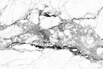 white background marble wall texture