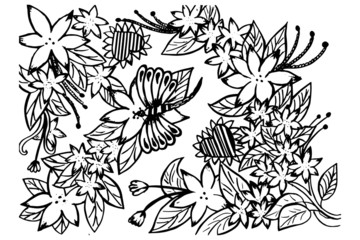 Flower coloring book pages.