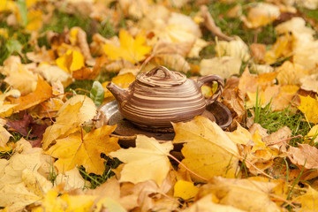 Chinese teapot among yellow maple leaves