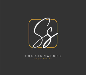 S SS Initial letter handwriting and signature logo. A concept handwriting initial logo with template element.