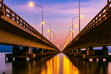 close up of fern leaves