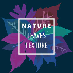 Simple modern blue and violet leaf background with frame for text. Vector nature illustration