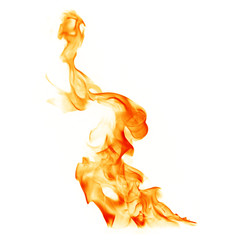 Fire burning flames on white background.