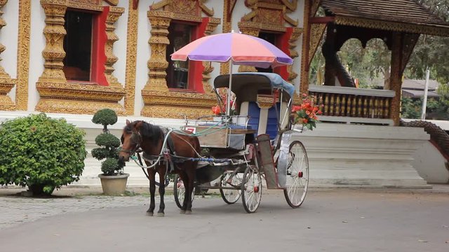 Horse carriage at White Triangle Pagoda, Wat Chedi Liam, chiangmai