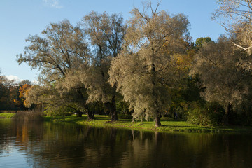 Autumn park landscape with bright trees