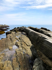 犬吠埼の海岸 砂岩泥岩互層