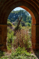 View from the entrance arch to the church. Ruins of the Royal Monastery of Santa María de Nogales. San Esteban de Nogales, León, Spain.