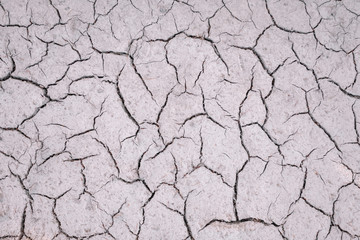 Texture of dry cracked soil after dried puddle