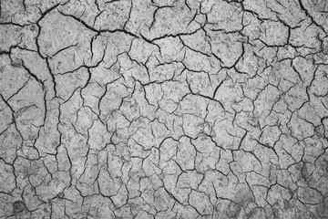 Texture of dry cracked soil after dried puddle