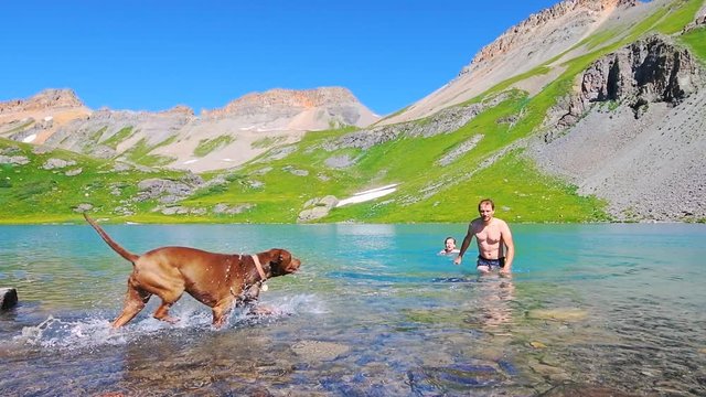 Slow motion of young couple, man and woman in bikini swimsuit and rhodesian ridgeback brown dog swimming in cold Ice Lake water, Silverton Colorado at San Juan Mountains summit peak