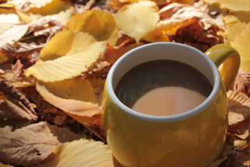 Yellow cup of coffee on autumn leaves background. Cozy autumn mood. Top view, copy space, selective focus
