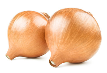 Close-up of delicious onions, isolated on white background