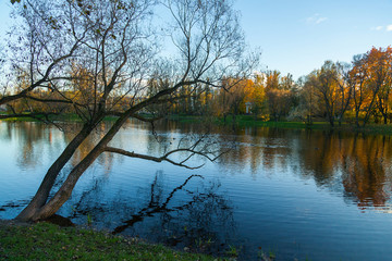 Fototapeta na wymiar Small lake in autumn park