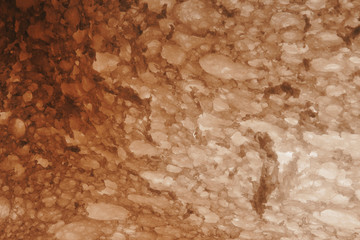 Bread slice on transparent background. Texture macro shot