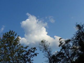 Himmel