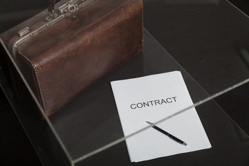 Contract and leather carpetbag close-up