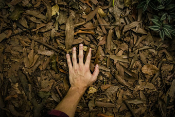 Pessoa tocando o chão da floresta em conexão com a natureza