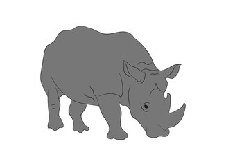vector rhino illustration, color drawing, vector