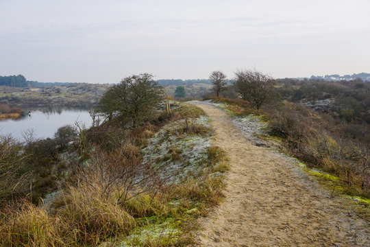 Hiking trail in National Park Zuid-Kennemerland (The Netherlands) - Winter