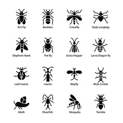 Bug Glyph Icon 