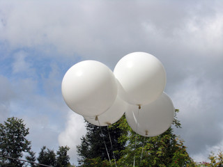 white balloons in the sky