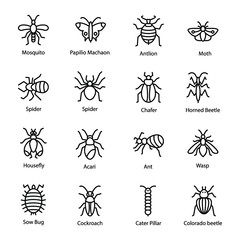 Pest Insect Icons