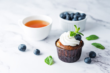 Chocolate cream cheese cupcakes with whipped cream, mint leaves and blueberry