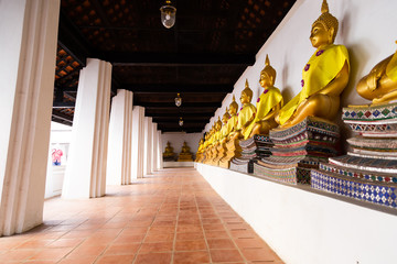 tante statue d'oro di buddha in preghiera dentro in tempio 