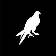 Falcon Icon isolated on dark background