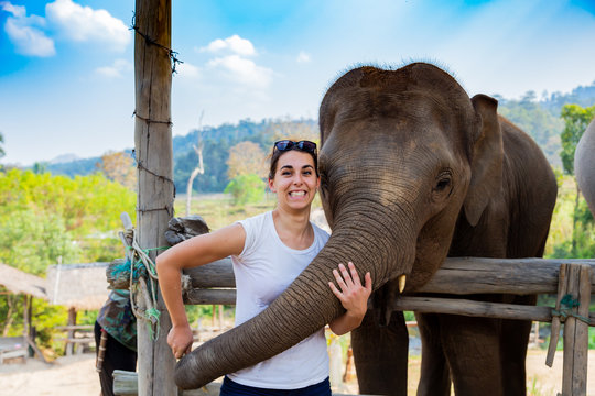 giovane ragazza sorride mentre viene abbracciata con la proboscide da un grande elefante marrone 