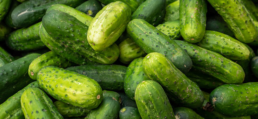 Panorama Gurken auf dem Markt