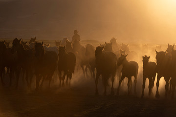 Fototapeta na wymiar silhouette of people in the desert