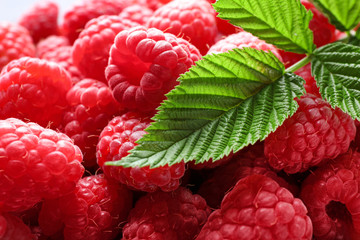 Fresh ripe raspberries with leaves as background, closeup