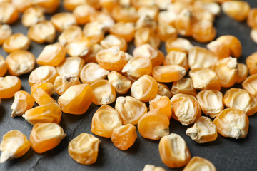 Raw dry corn seeds on grey background, closeup. Vegetable planting