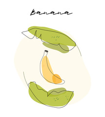Doodle card with banana and leaves on white background vector illustration 