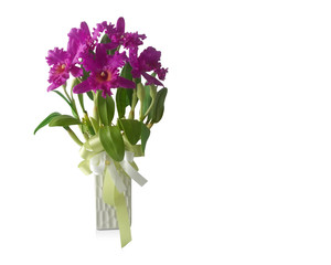front view pink orchid flowers bouquet in white ceramic vase on white background, nature, copy space