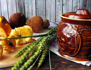 Fresh forest mushrooms