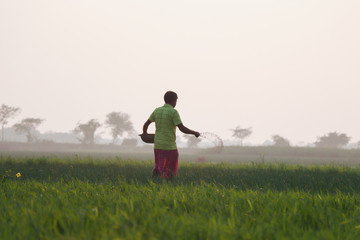 Naklejka na ściany i meble working farmer in indian field