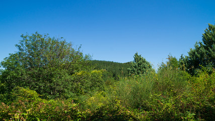 Panorama lungo il sentiero 141A a Serra San Quirico nelle Marche