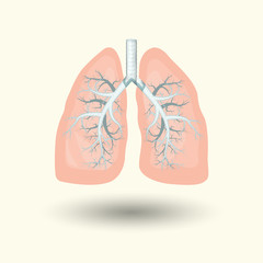 Human lungs, cartoon style illustration  isolated on white background