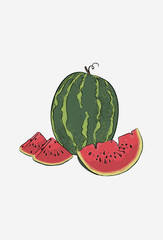 Watermelon poster. Watermelon slices, half and quarter. Ripe watermelon vector illustration. 