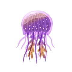 Cartoon purple jellyfish vector flat illustration. Colorful marine animal or sea jelly with tentacles isolated on white background. Ocean fauna, aquatic creature. Natural exotic water dweller