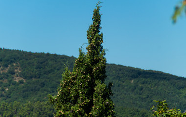 Panorama lungo il sentiero 141A a Serra San Quirico nelle Marche