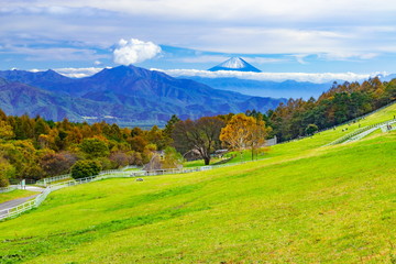 清里高原のまきば公園から眺める富士山　山梨県北杜市にて