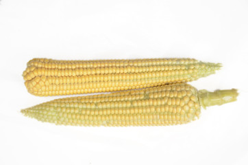 the ripe corncob with yellow grain isolated on white background.