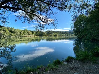 reflection of trees in river