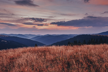 adventure, amazing, autumn, background, beautiful, breathtaking, color, countryside, dawn, environment, fantastic, fog, forest, idyllic, land, landscape, light, meadow, morning, mountain, nature, outd